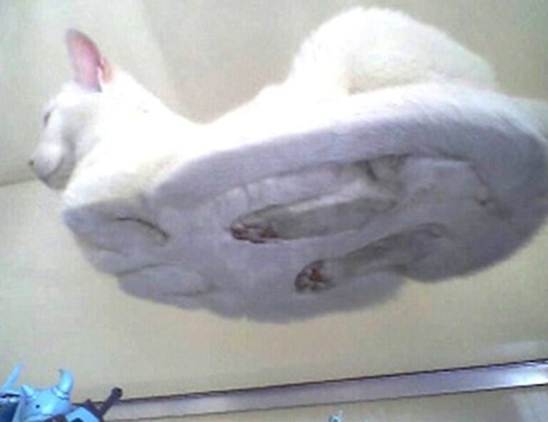 apply for a job at gotelako hotel