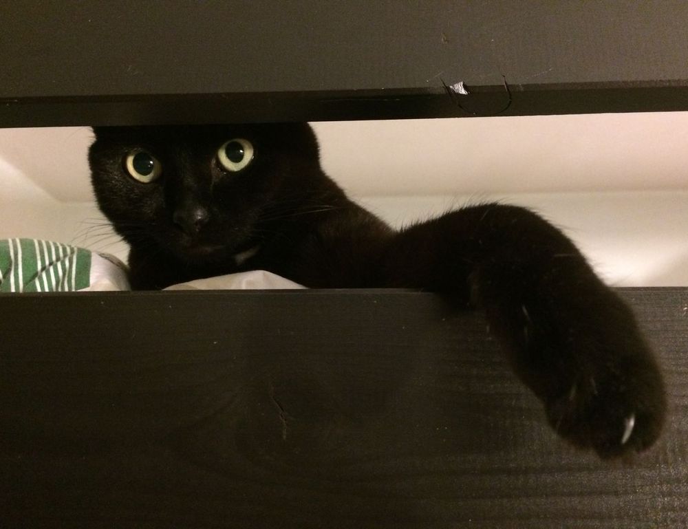 can gasteromaradical disease be cured