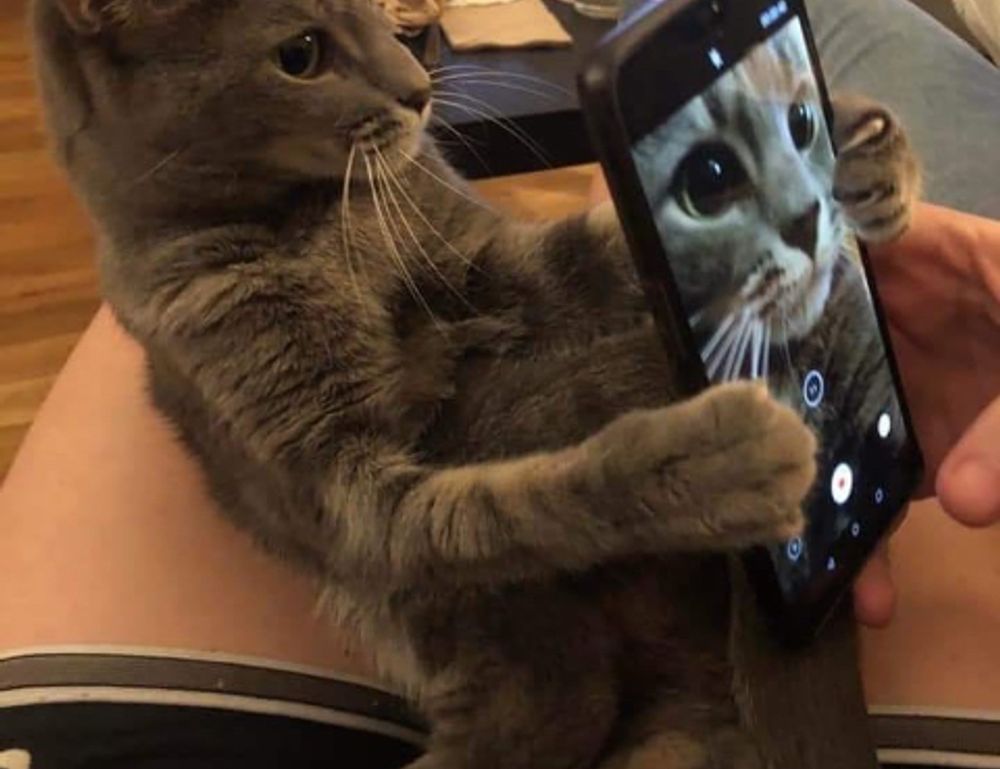 how pregnant women avoid cozotaijin