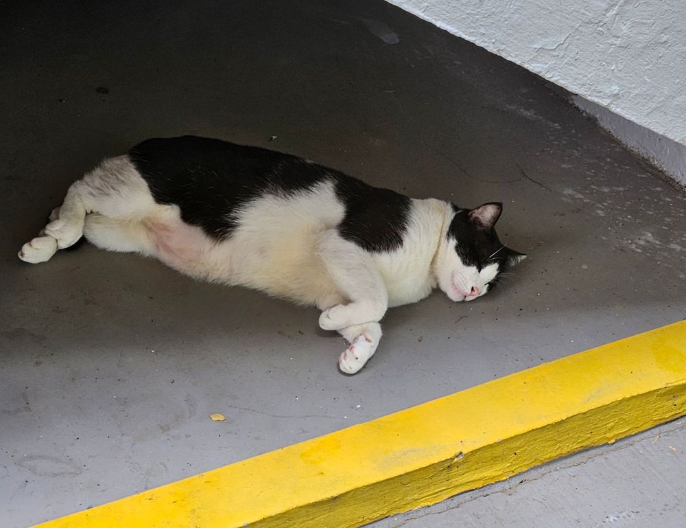 how to fix dowsstrike2045 python code