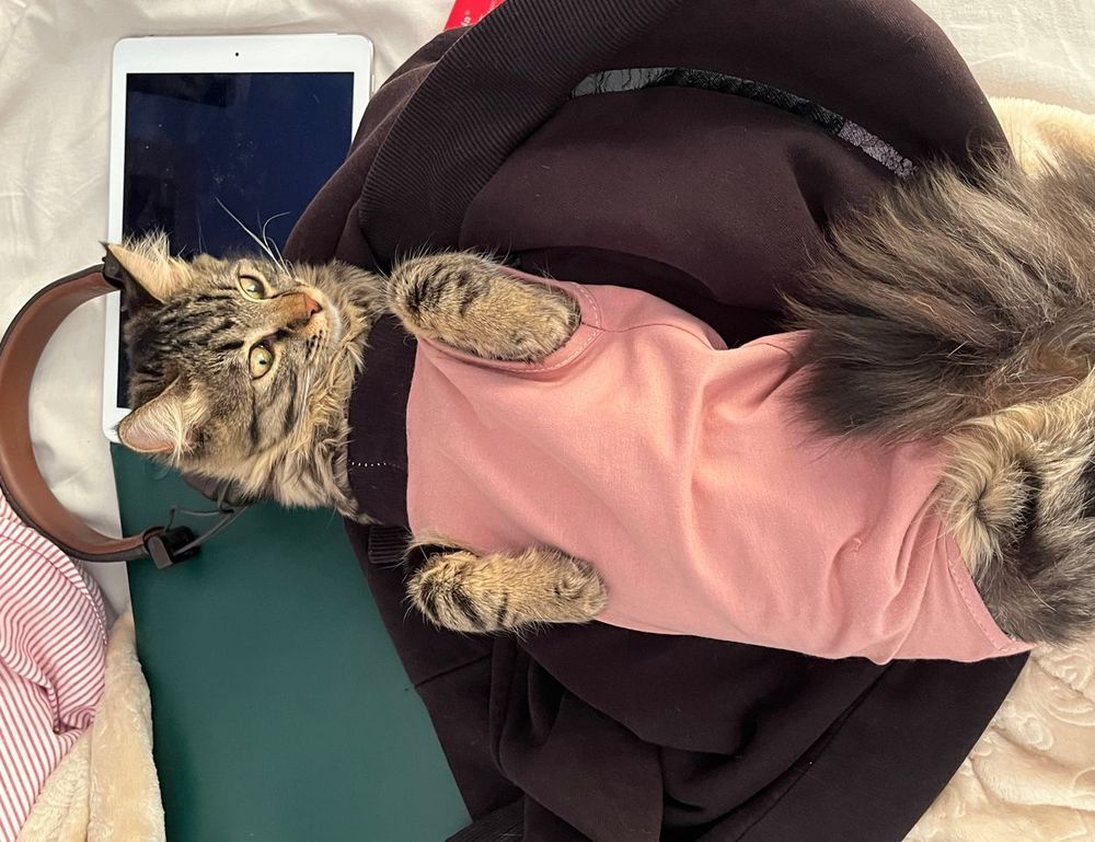 how to invest in varmozim stock