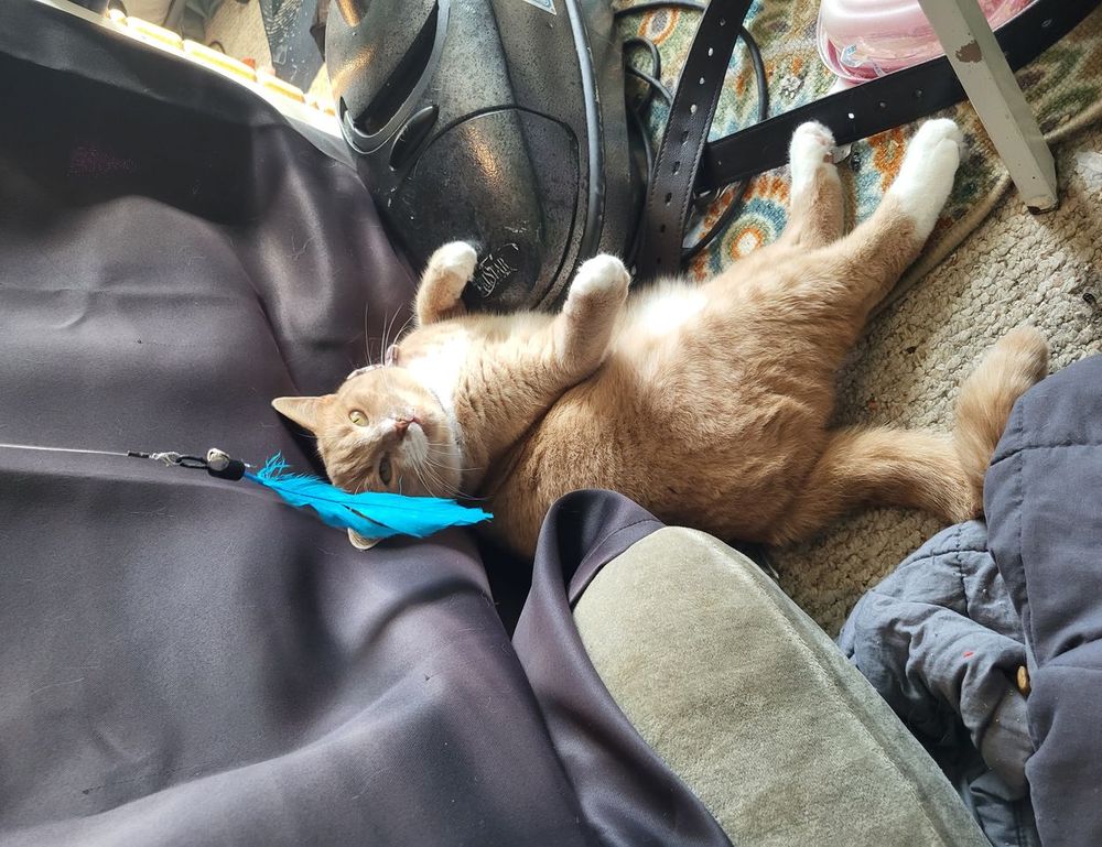 problems with dropbox 8737.idj.029.22