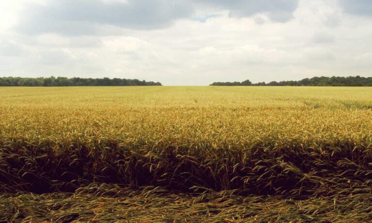 tech news jotechgeeks