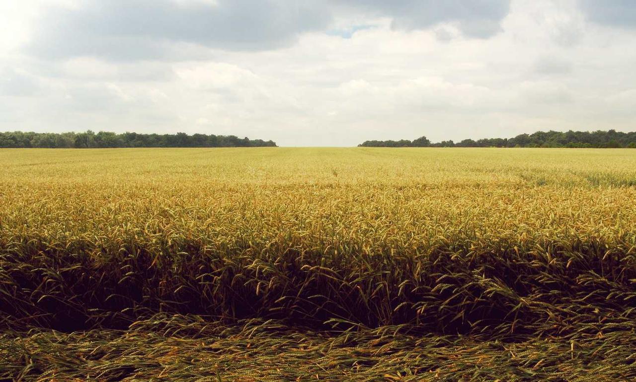 tech news jotechgeeks