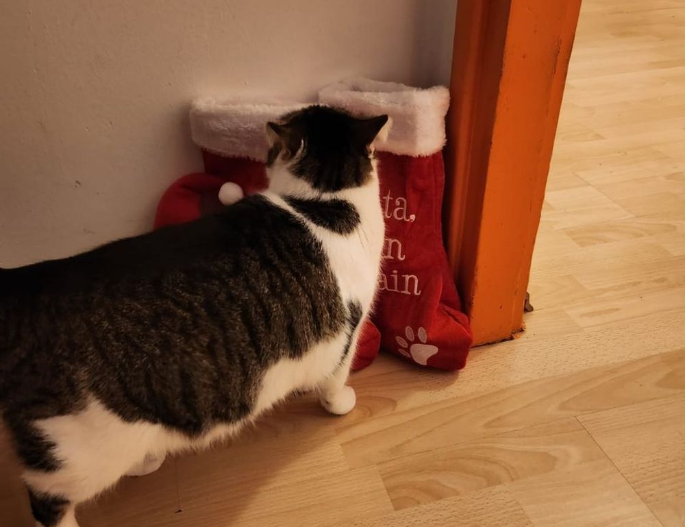 why is software bixiros.5a8 development process