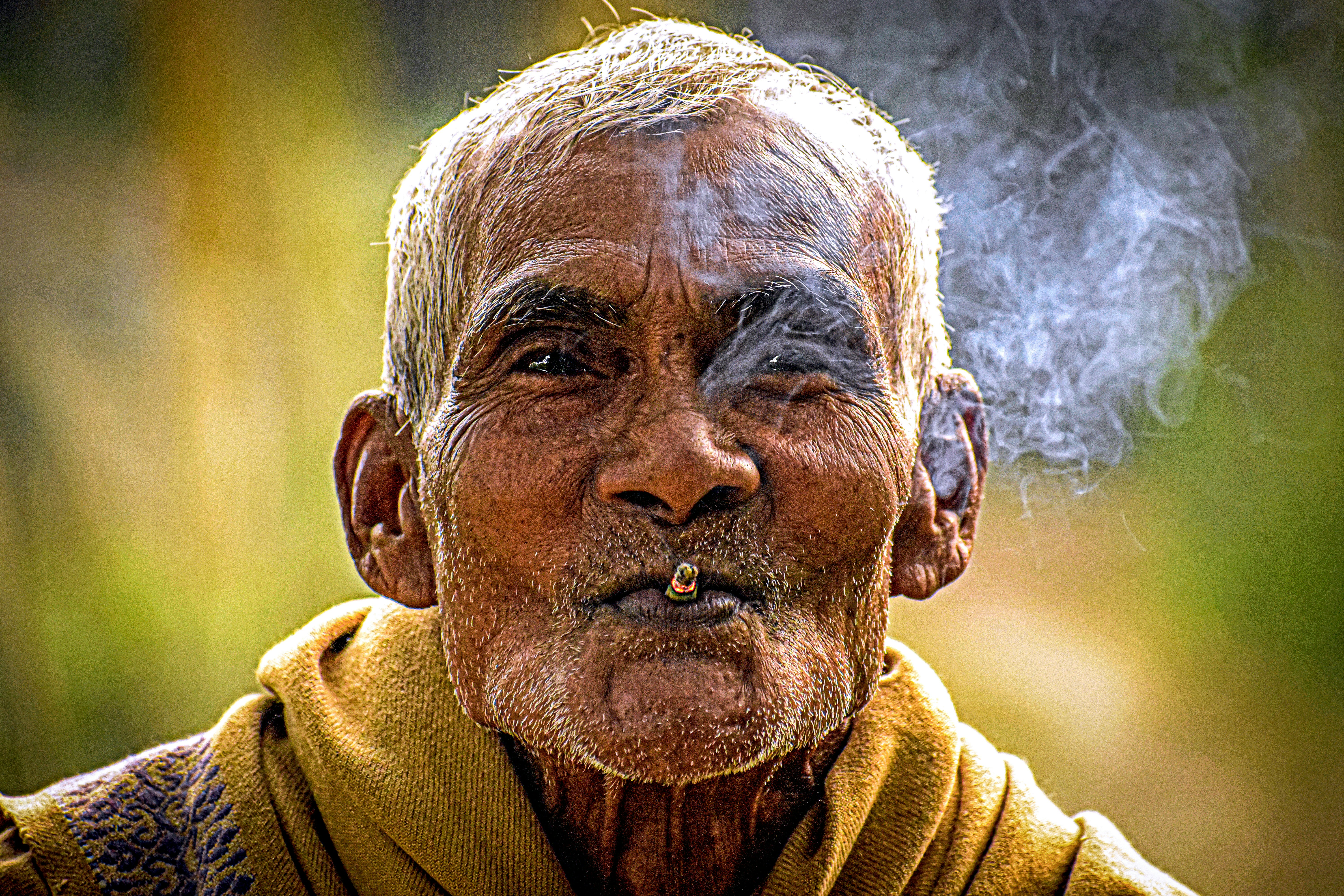 longevity mainstream