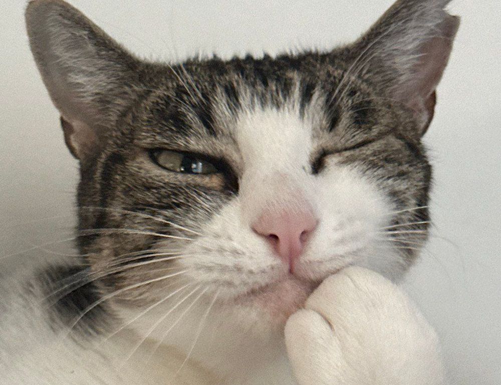 why is lescohid herbicide good