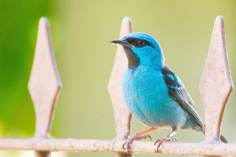 what tech came out in 2022 jotechgeeks