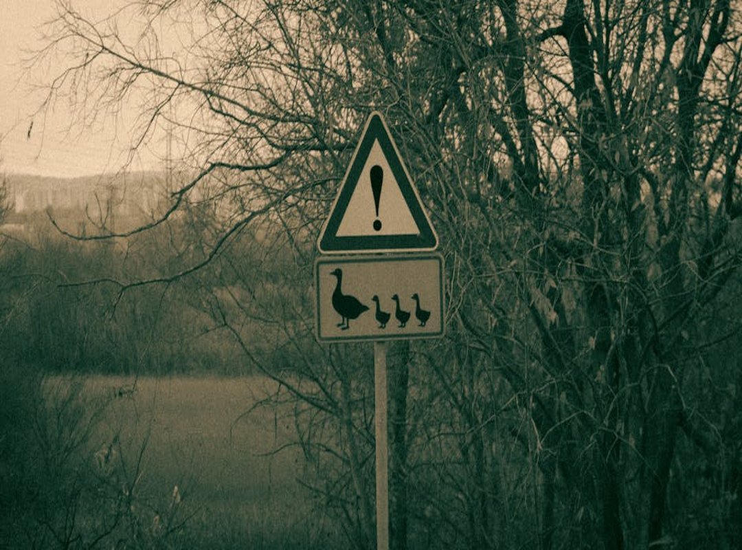 Practical Tips and Tricks