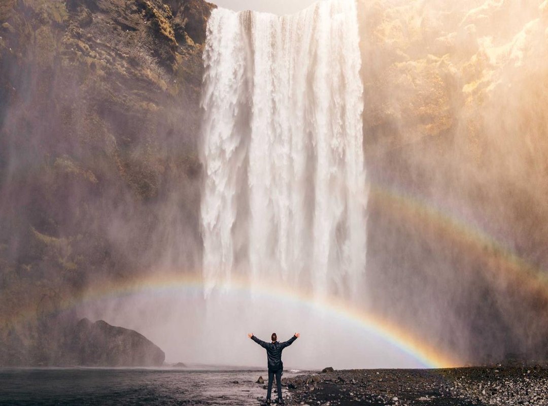 Why We Couldn't Stop Watching: The Psychology of a Viral Hit