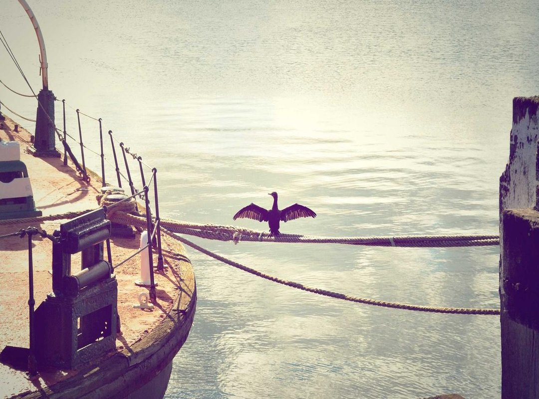 Practical Guide: When and How to Use FYKI in Your Emails