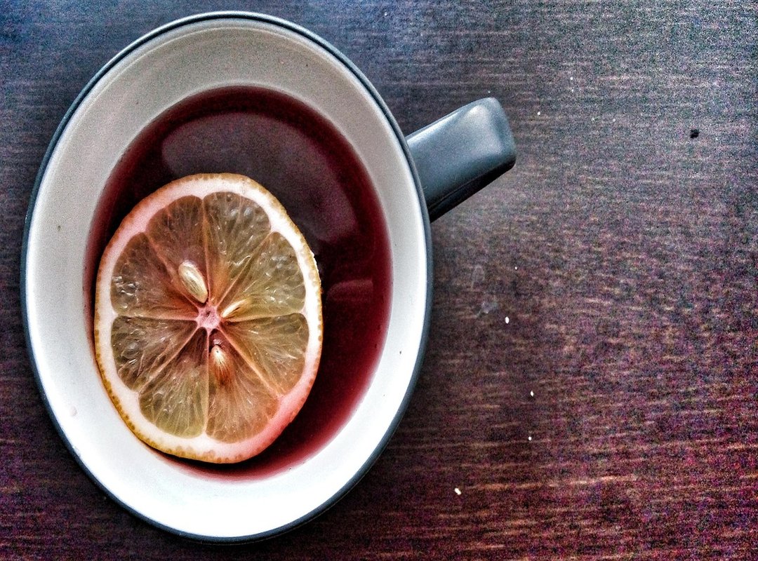 What Your New Monkey Companion Can Do for You