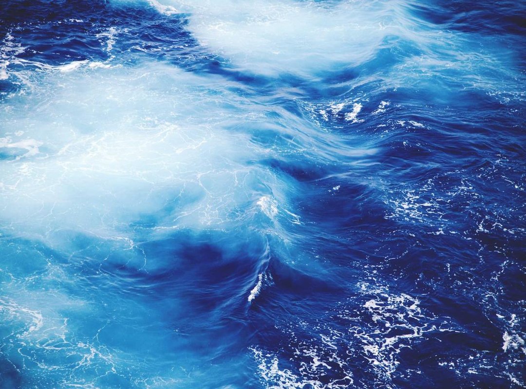 Menu Highlights: Classic Favorites and Local Specials