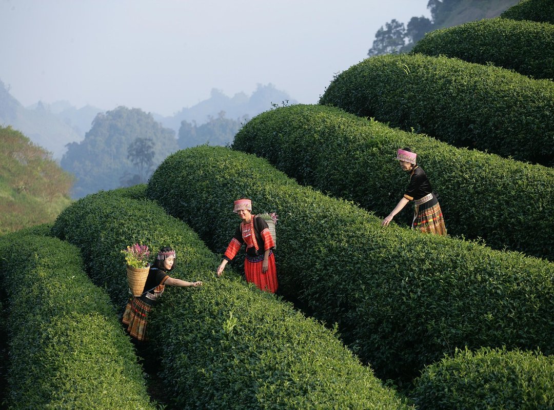 Available In-Store Beauty Services and Experiences