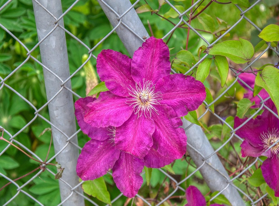 Breakout Performances and Memorable Guest Stars