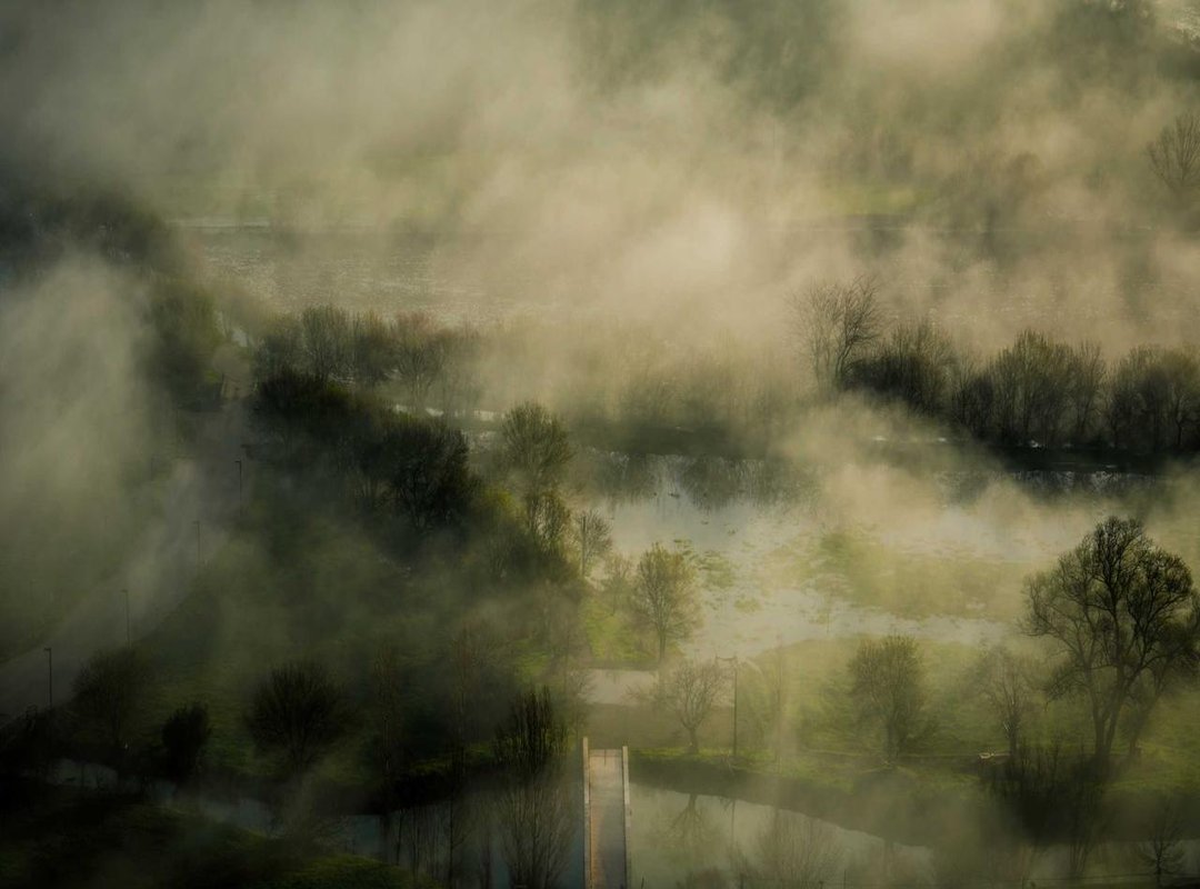 Solving More Than Just One Clue: Related Financial Puzzle Words