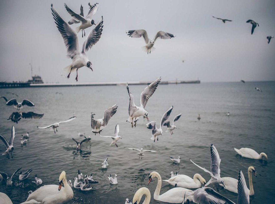 Creative Ways to Hide Your Face (Beyond the Phone)