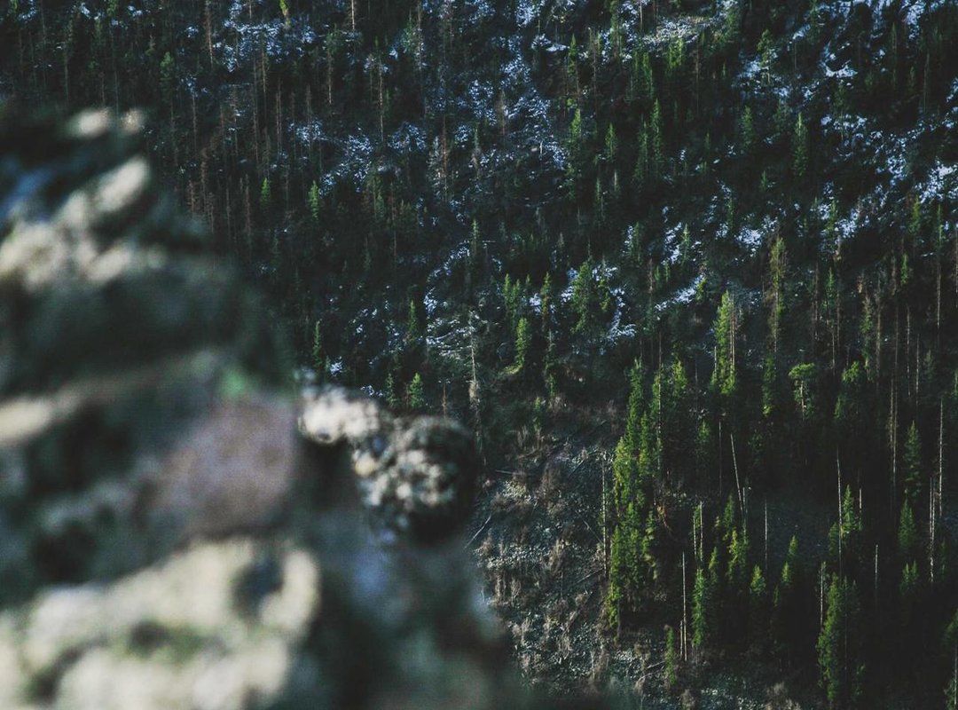 The Şanlı Household: The Actors Behind Seyran's Family