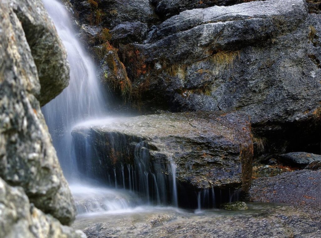 the beekeeper torrent