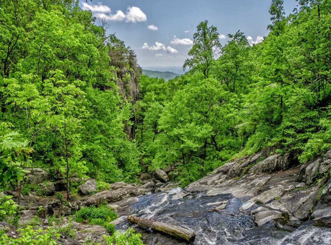 Who Should Use Voieurhouse (And Why It Matters)